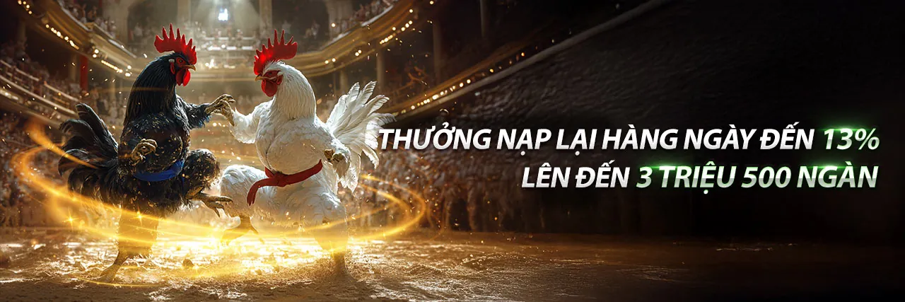 Công cụ marketing cho đối tác rs88